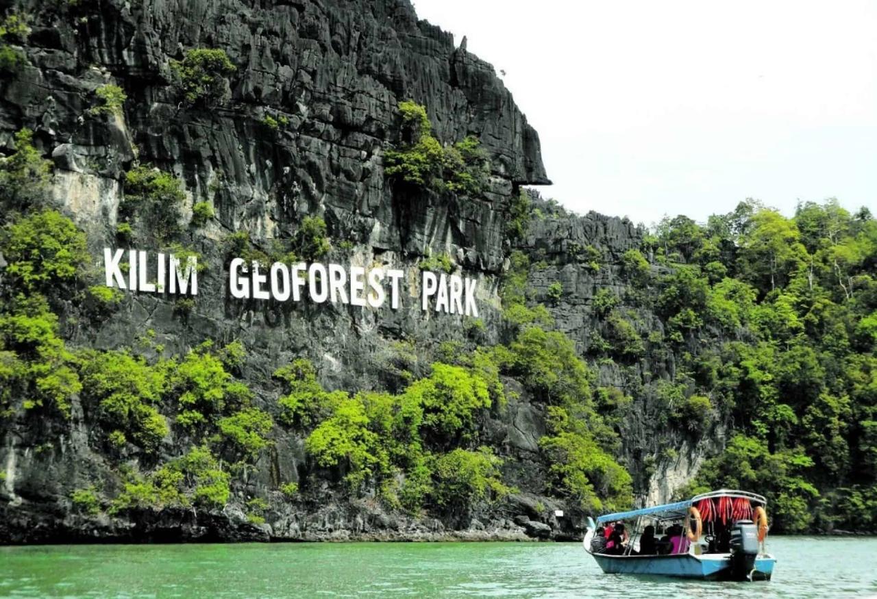 Jelajahi Keindahan Hutan Bakau Langkawi dengan Mangrove Tour yang Menakjubkan