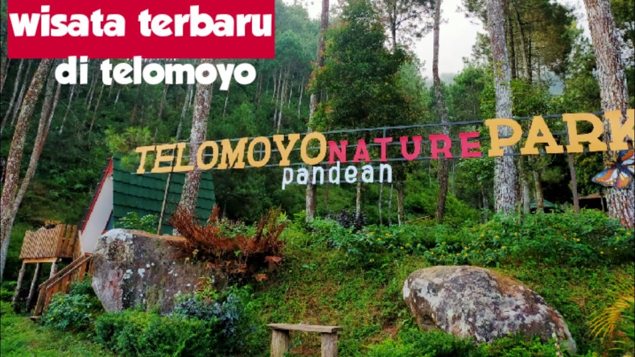 Telomoyo Nature Park: Surga Tersembunyi di Lereng Gunung Merbabu