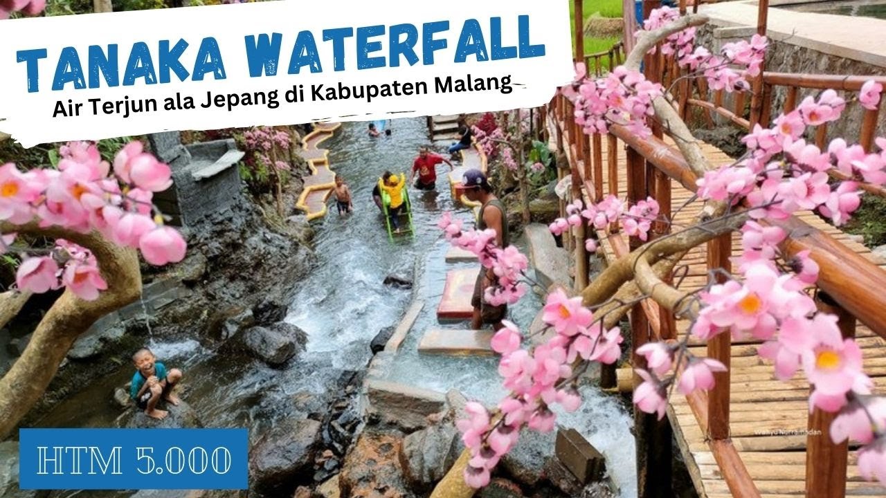 Wisata Air Terjun Tanaka: Keindahan Alam Tersembunyi di Indonesia